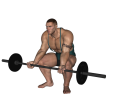 Barbell Curl - Squat